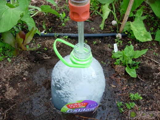 Простой способ саморегулируемого полива при помощи пластиковых бутылок